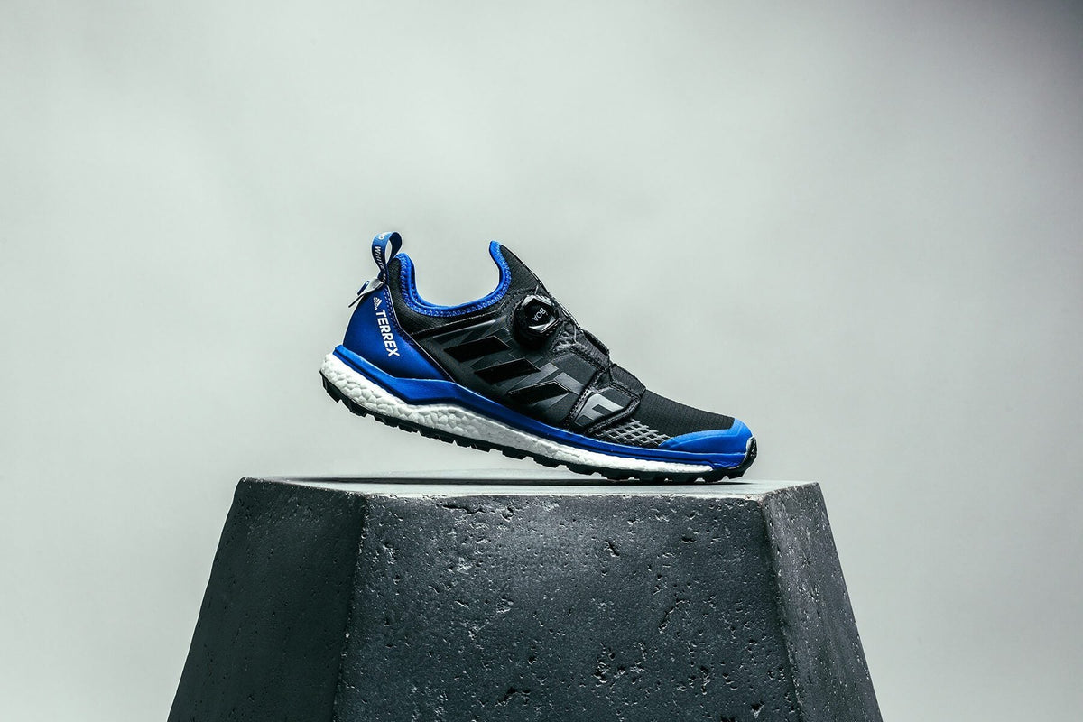 Originals x White Mountaineering Terrex Agravic BOA - Core Black/Collegiate Royal